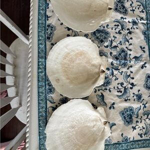 Elegant White Shell Placemats